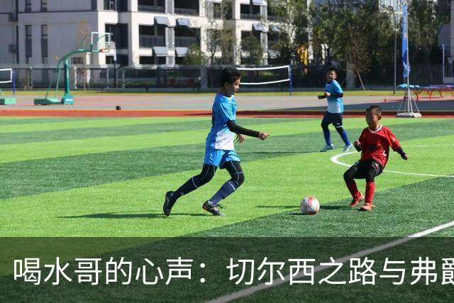 喝水哥的心声：切尔西之路与弗爵的合同怪事